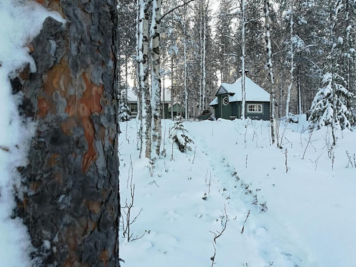 Ferienhaus Waestae-raekki Luosto